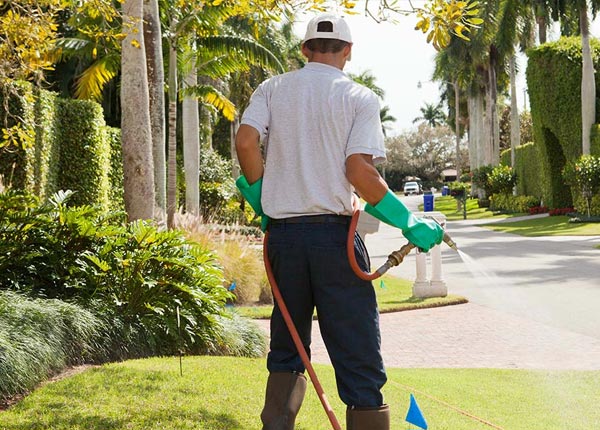 About Cedarhurst NY Pest Control